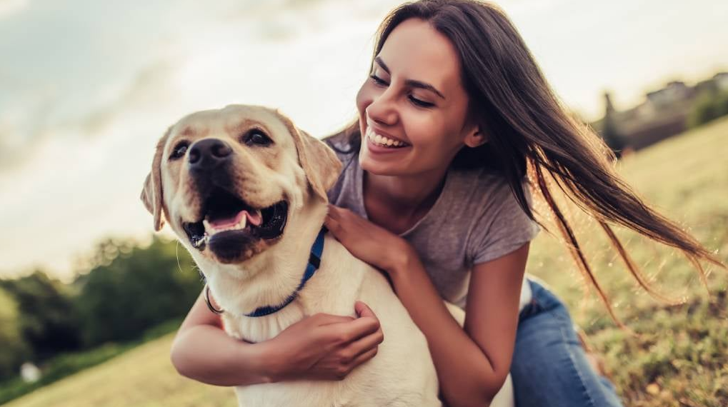 What Does Pet Insurance Cover? Accidents vs. Wellness